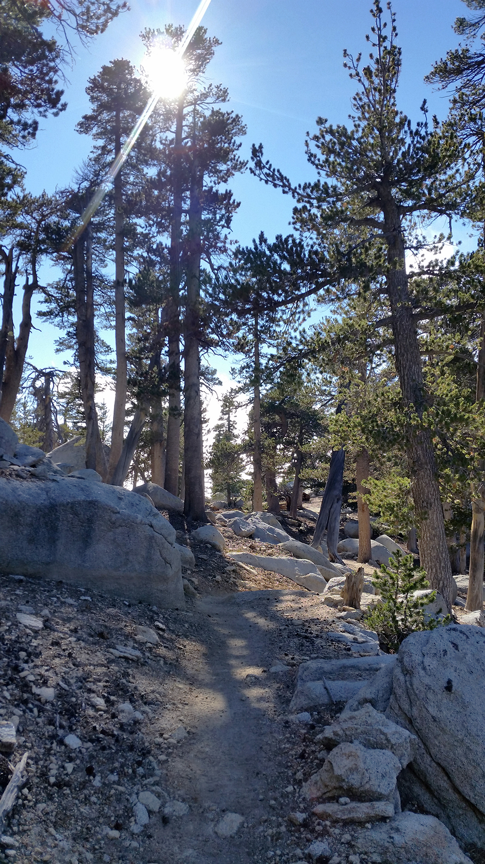 Great Mountain Trail - San Jacinto