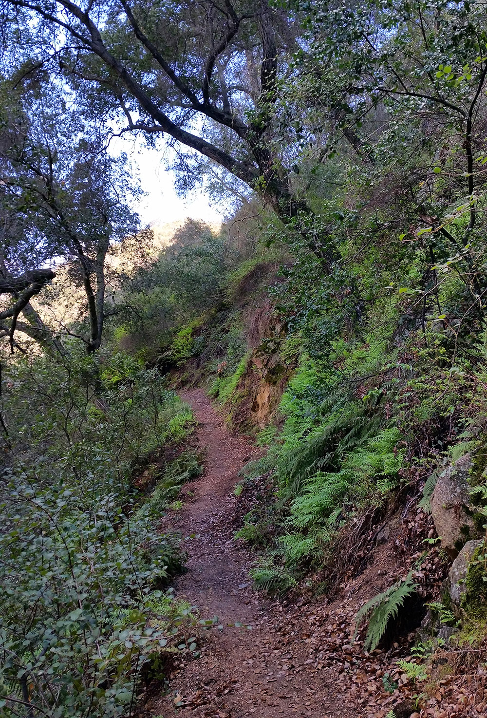 Tenaja Canyon Trail