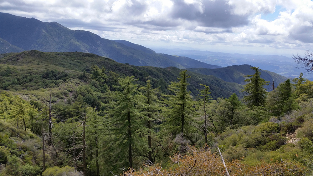 Dripping Springs Trail, Looking Towards Mt Palomar