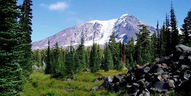 Mt. Adams from the Pacific Crest Trail