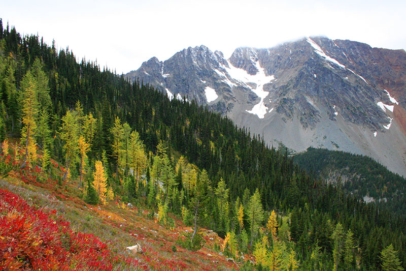 Fall Colors - Pasayten Wilderness