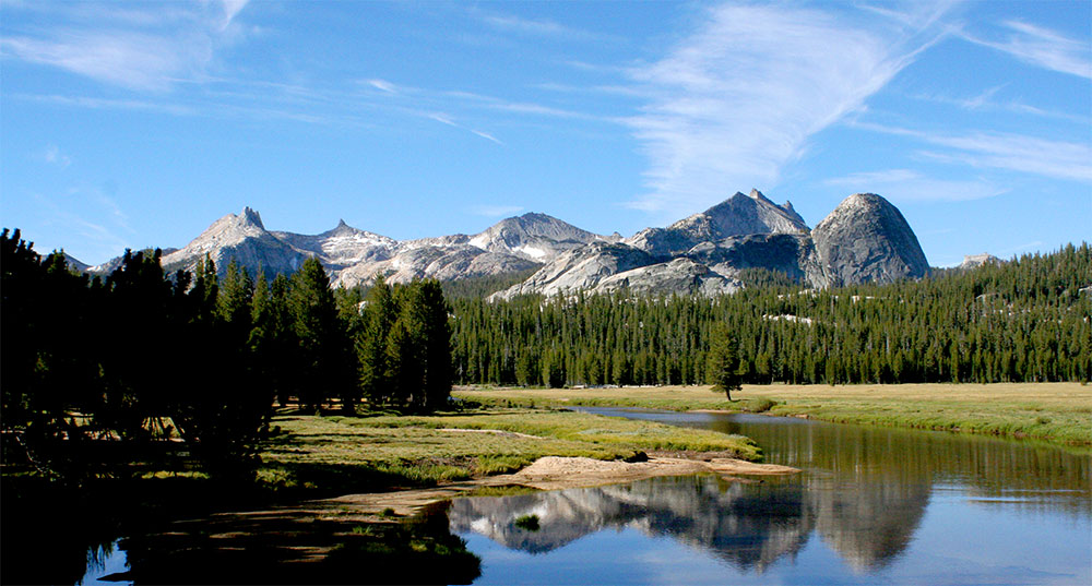 A meadow in Yosemite National Park