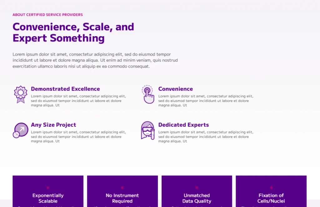 Website Icon Design Work