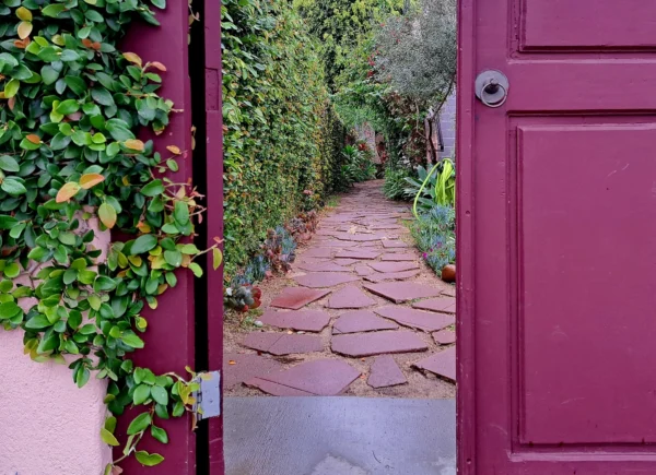 Hidden garden in San Diego