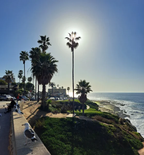 A warm winter day in La Jolla
